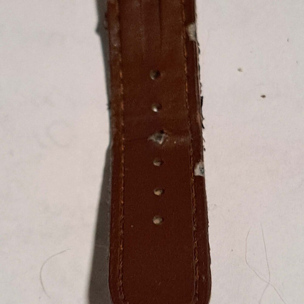 Timex expedition watch - Picture 13 of 16